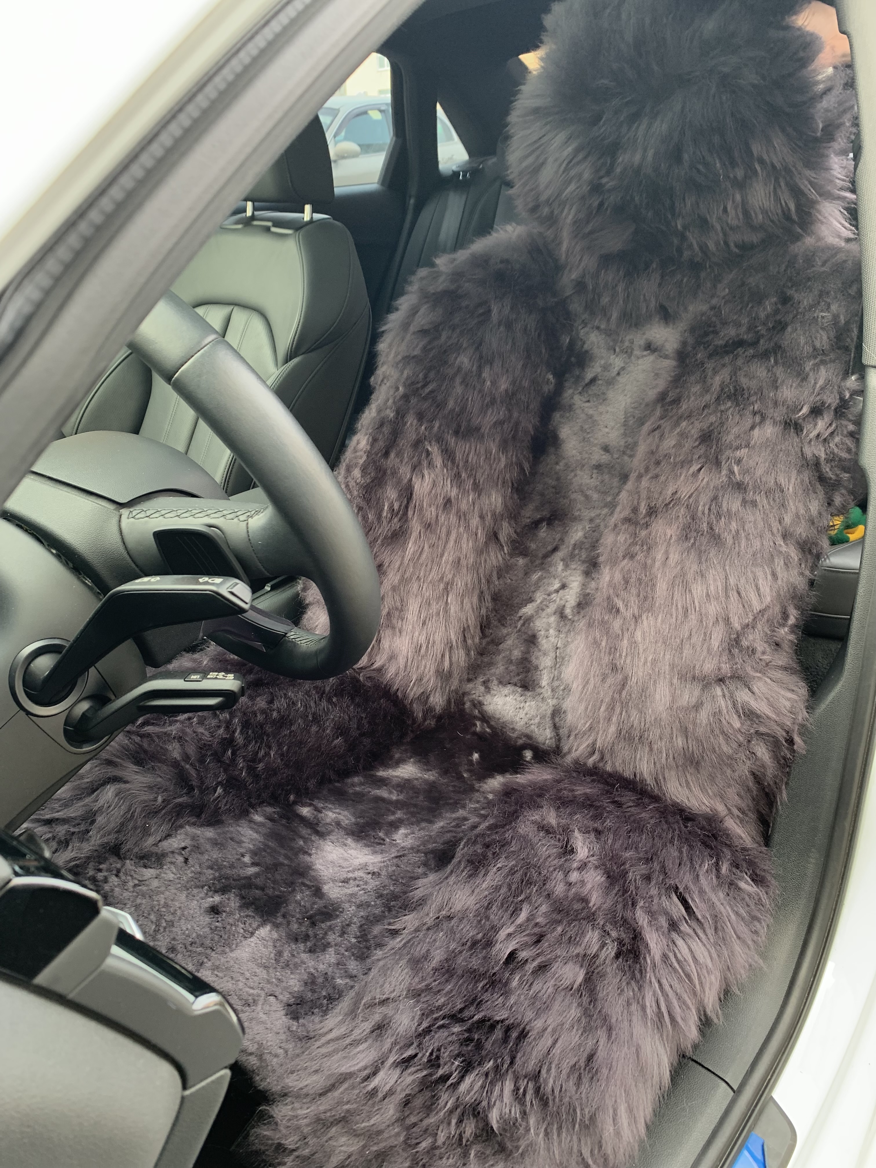 ImportedPhoto.752486988.793664