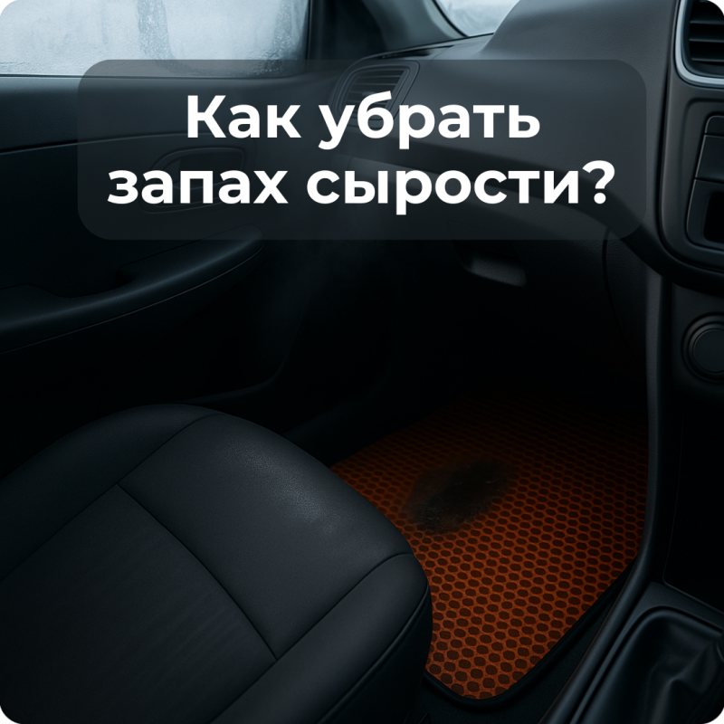 Как убрать запах сырости из салона зимой
