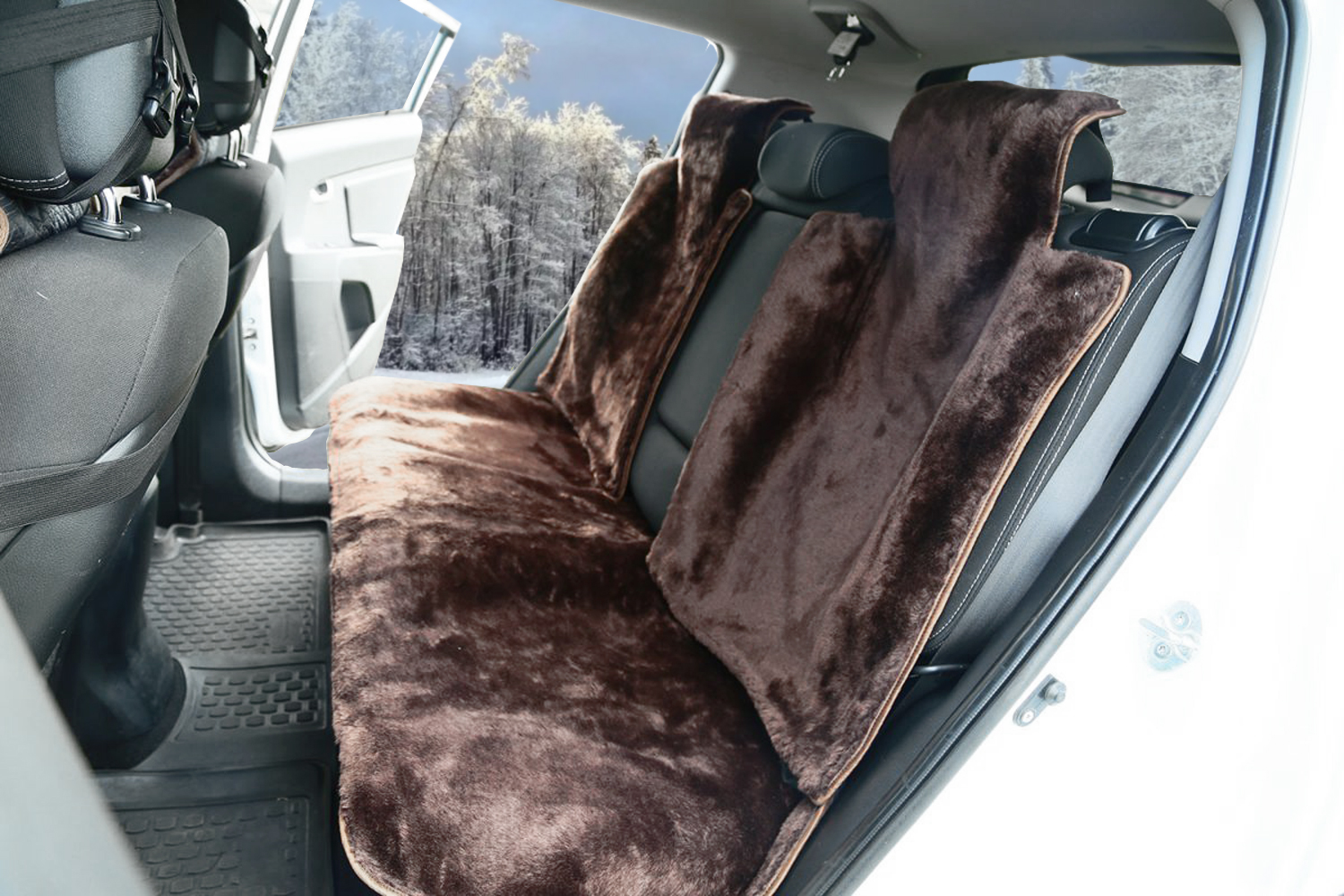 Коричневые-назад