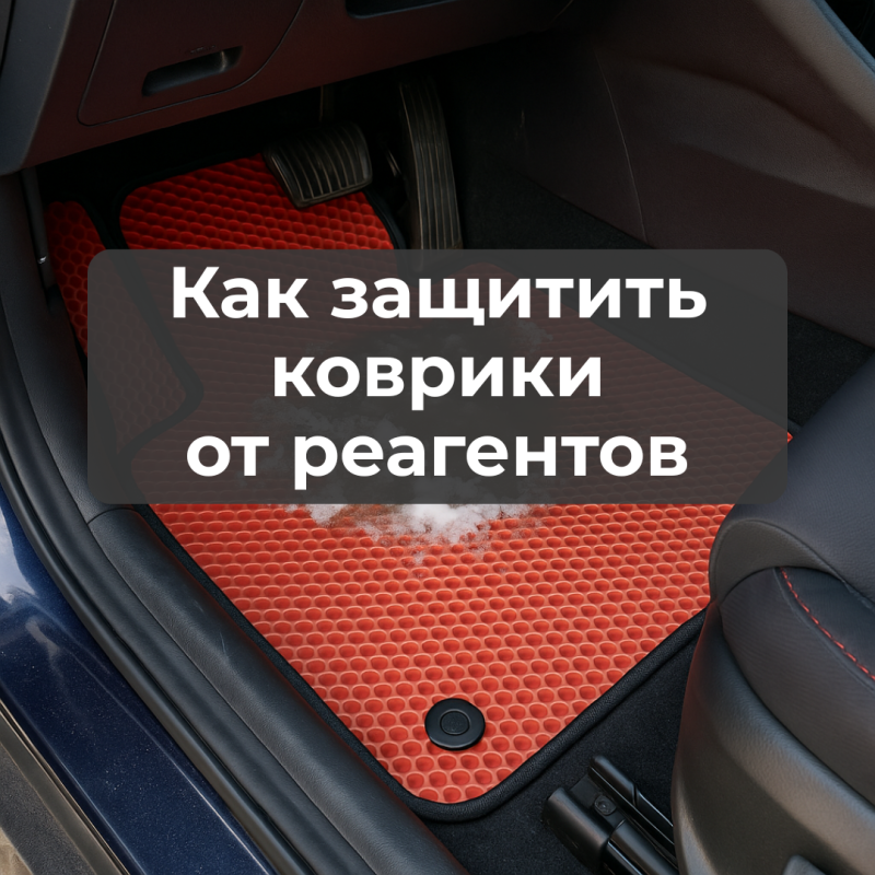 Что делать, чтобы реагенты и соль не испортили коврики