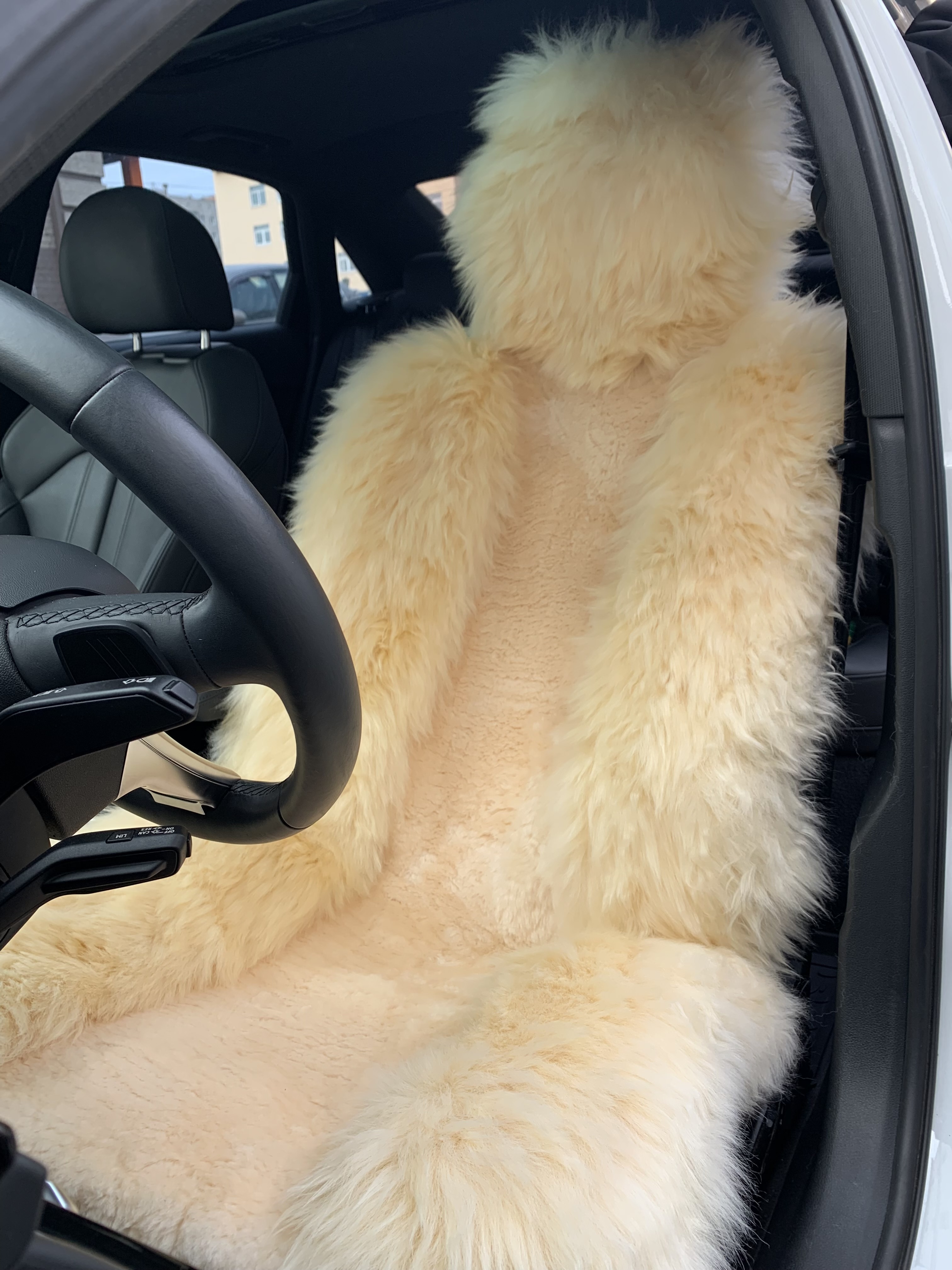 ImportedPhoto.752486952.474049