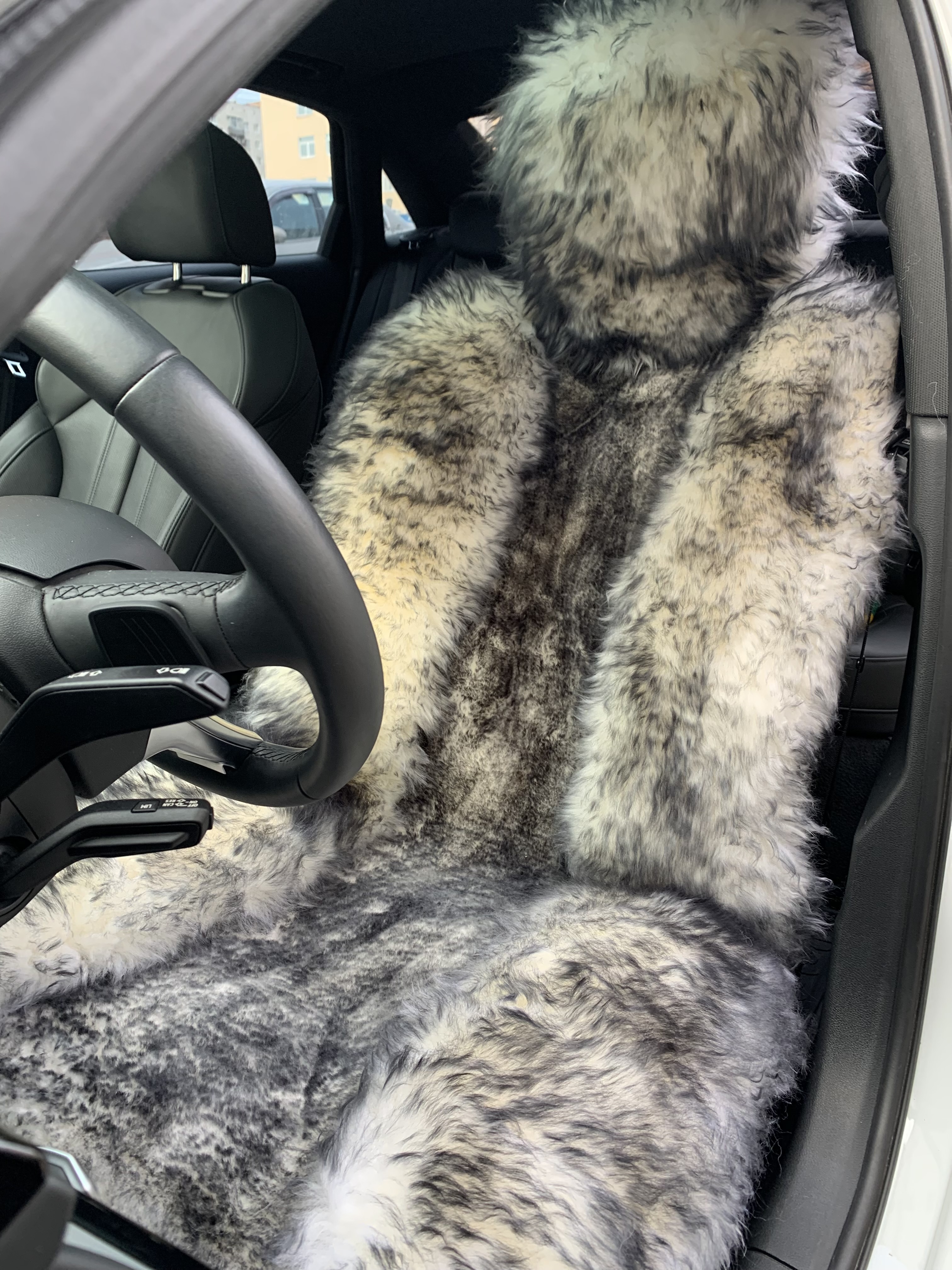 ImportedPhoto.752486952.492704