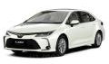 Коврики для Toyota Corolla 2019-